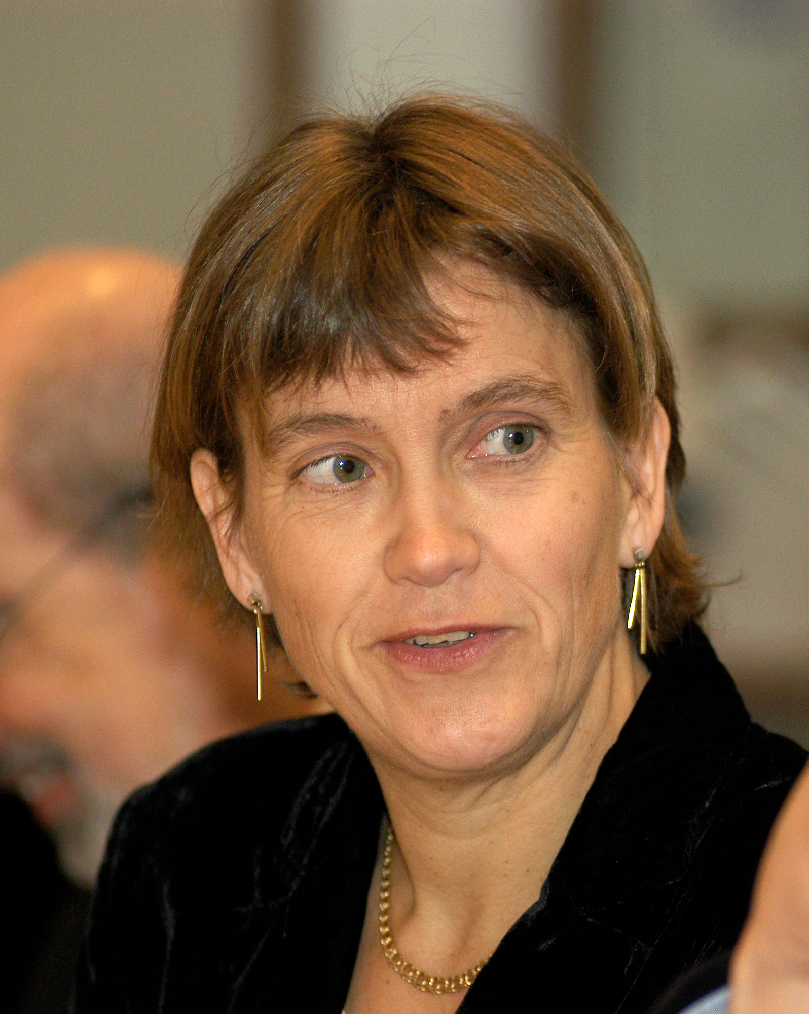 Imagem de referência de Lena Sommestad, descrito nos dados abertos como investigador, Suécia