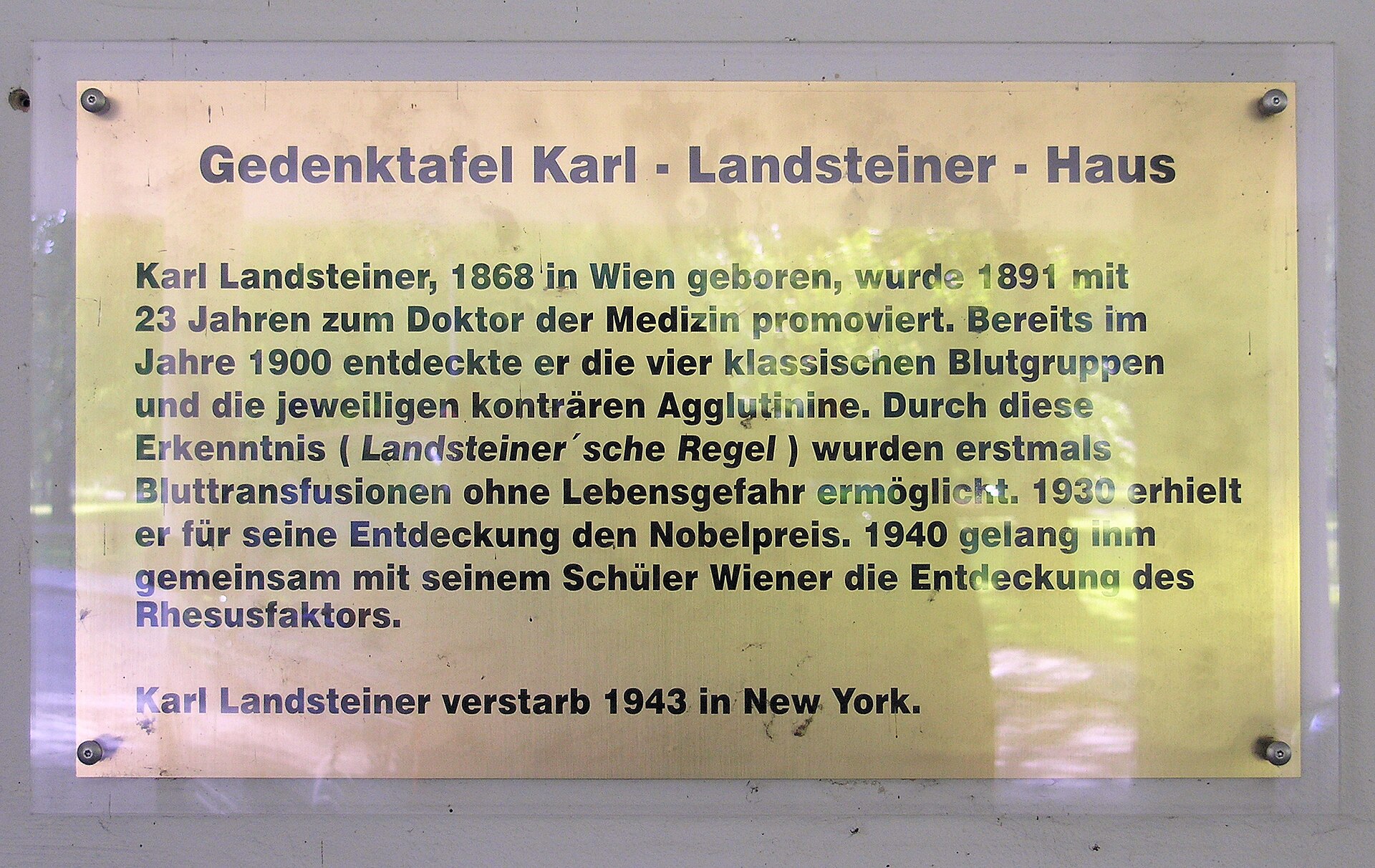 Imagem de referência relacionada a Karl Landsteiner, item descrito como fisiólogo de Áustria-Hungria