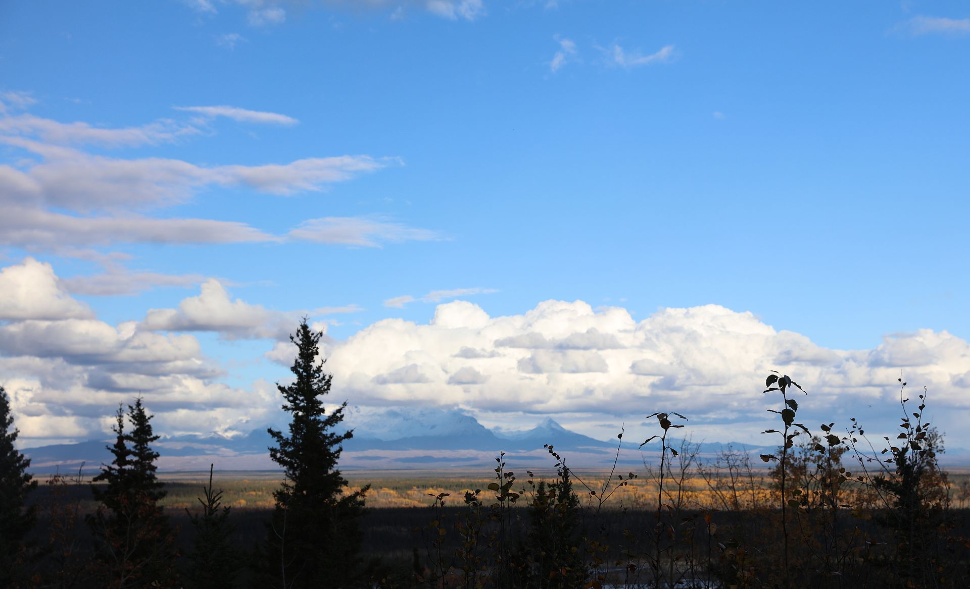 Imagem de referência de Parque Nacional e Reserva de Wrangell-St. Elias, descrito nos dados abertos como área protegida no Alasca, Estados Unidos