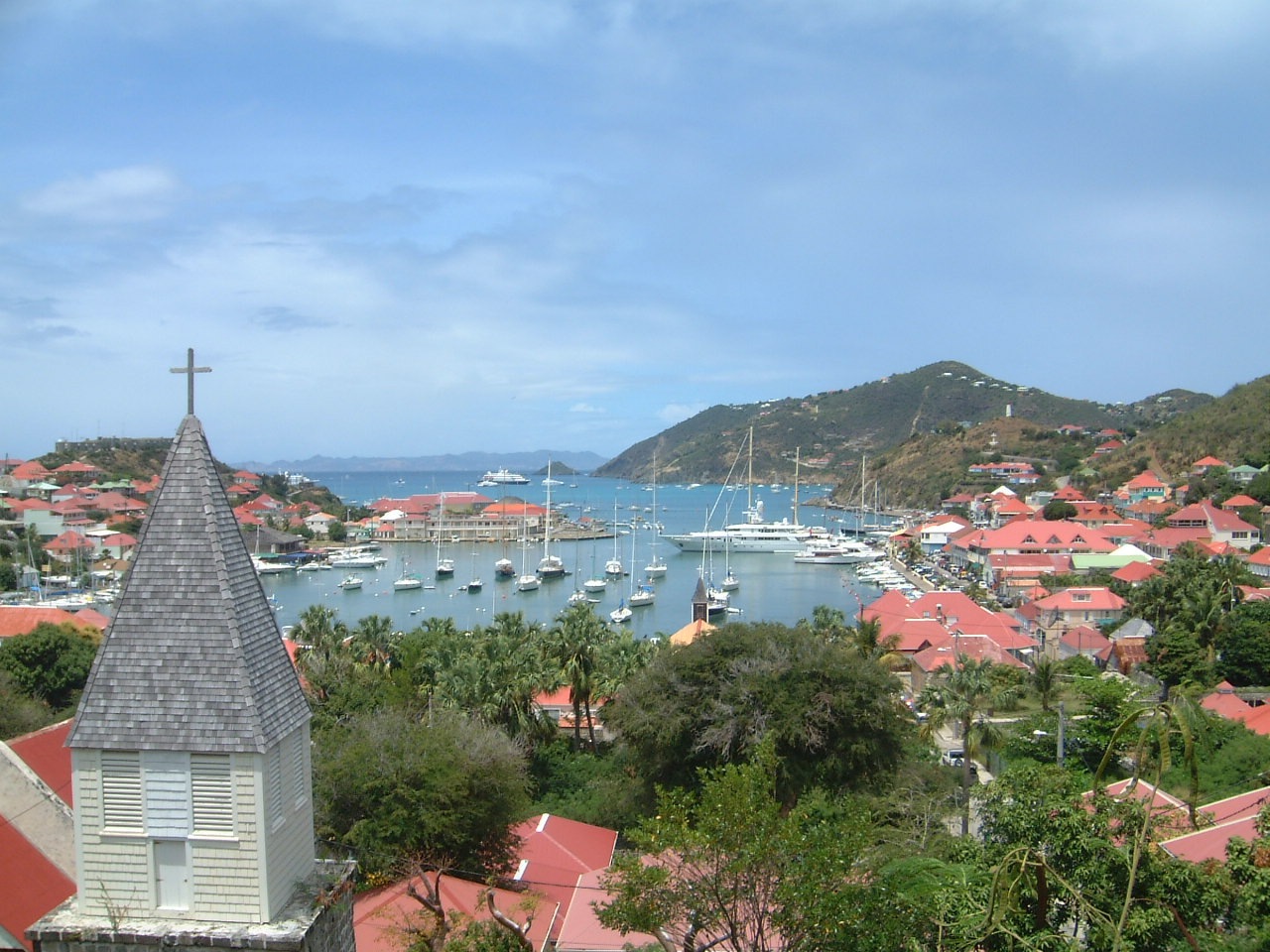 Imagem de referência relacionada a Gustavia, item descrito como género de plantas