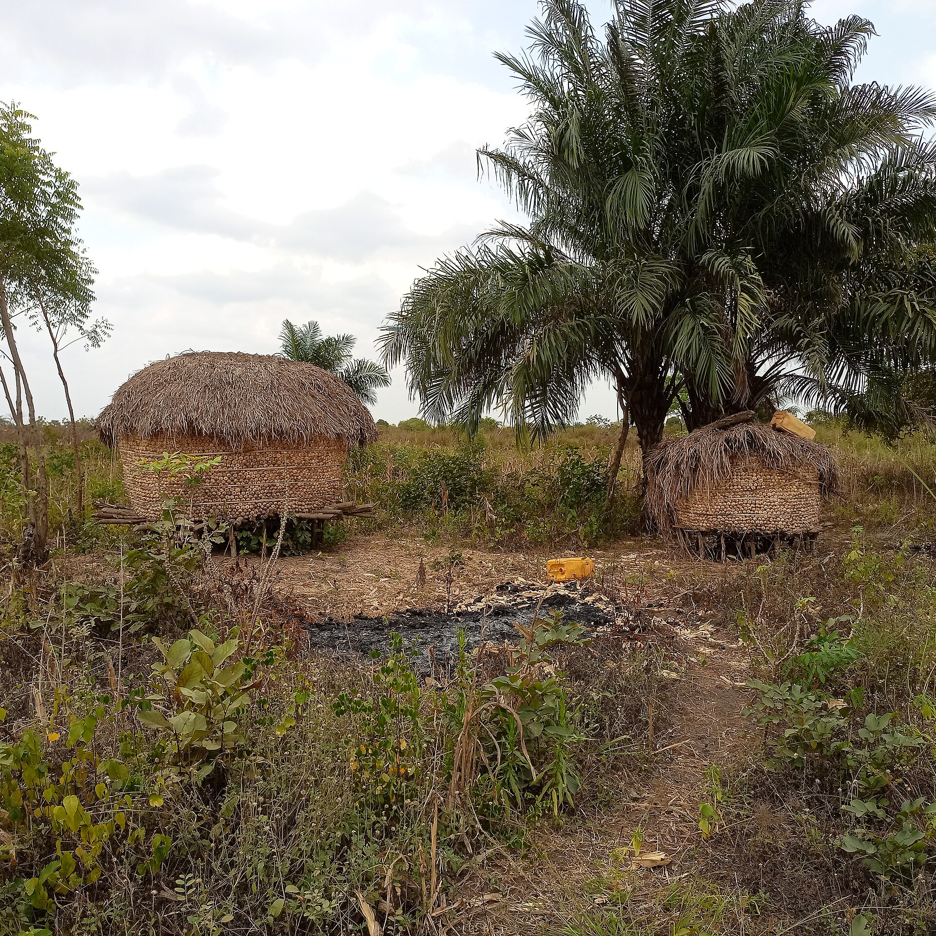 Imagem de referência de Togo, descrito nos dados abertos como país de África