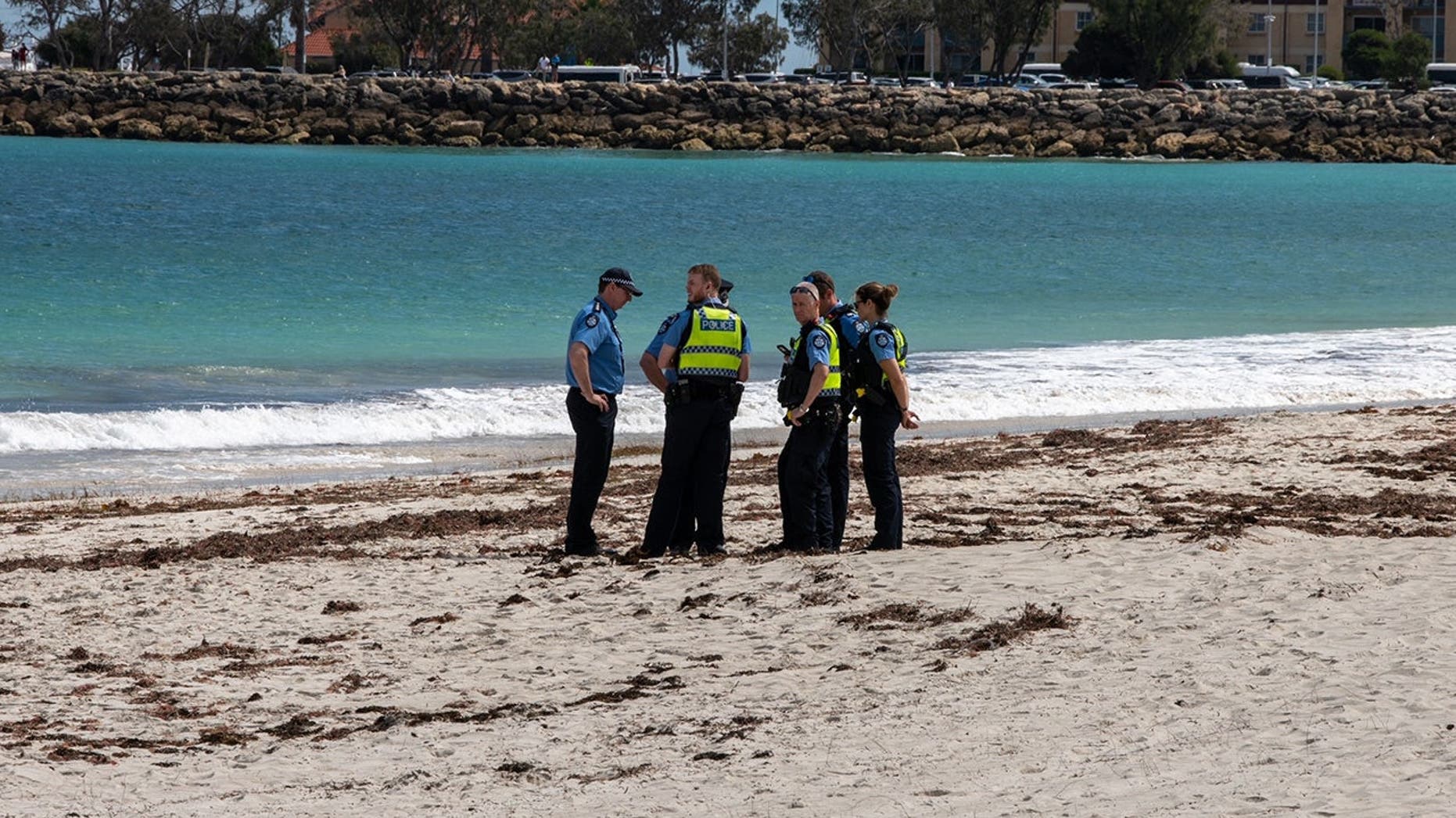 'Devoted' pai e futuro avô nadando na praia popular foram mortos em ataque suspeito de tubarão
