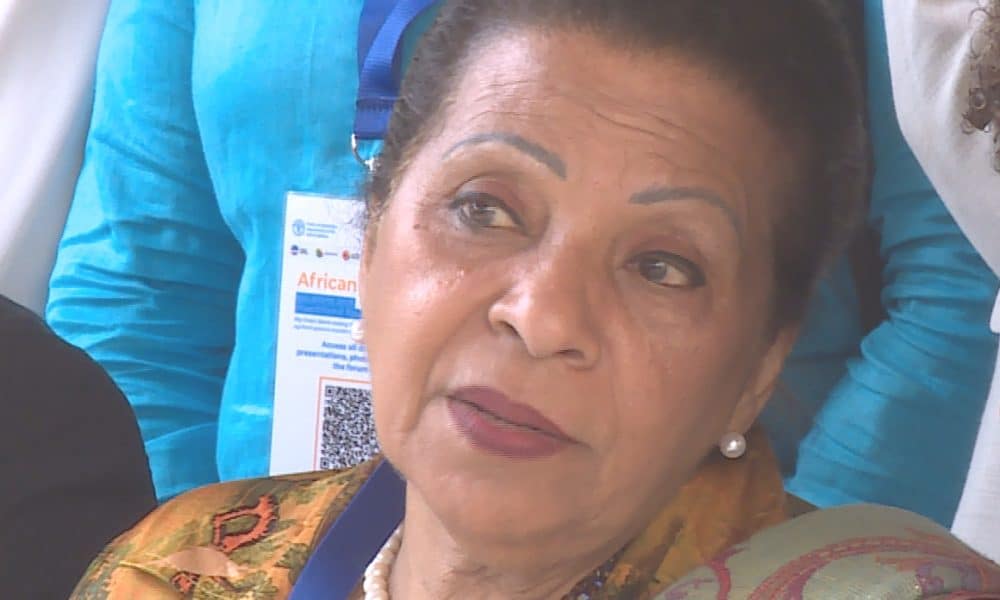 CPLP envia 29 observadores para fiscalizar as eleições gerais de domingo