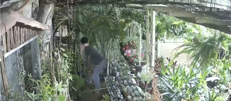 Floricultura é invadida oito vezes em um ano e comerciantes apontam mesmo suspeito em MG