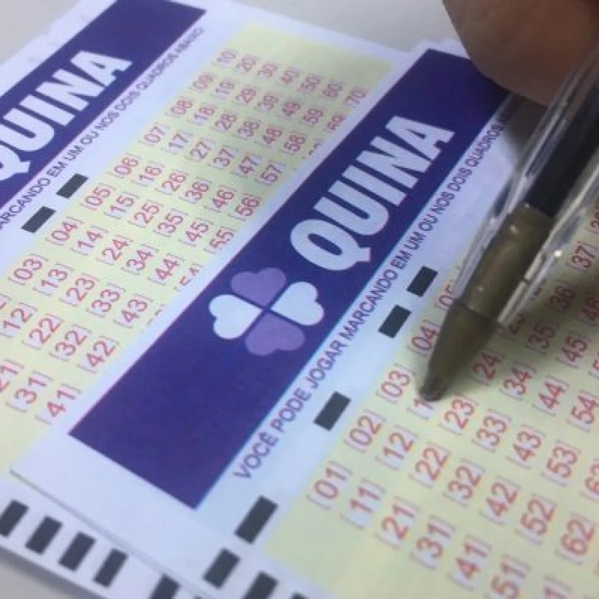 Quina 7147 acumula, e prêmio vai a R$ 55 milhões. Veja resultado