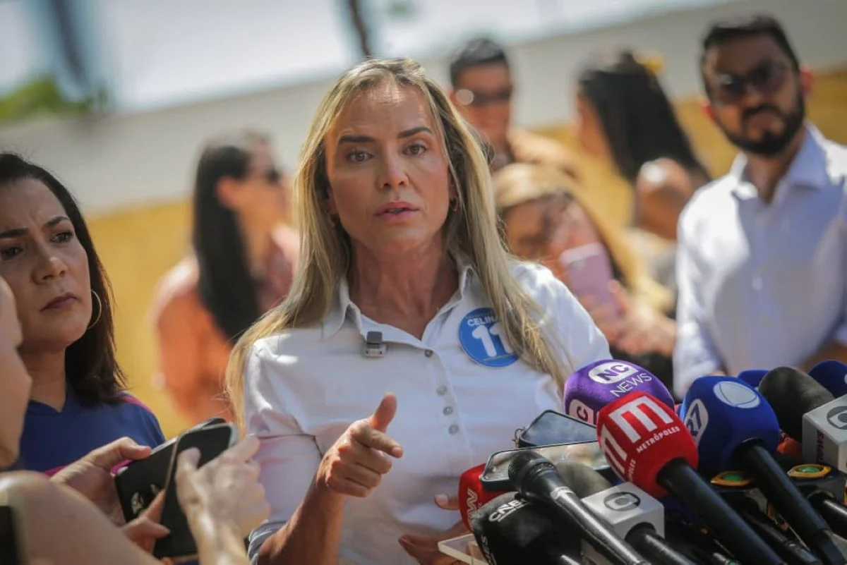 Celina Leão, Reunião Flávio