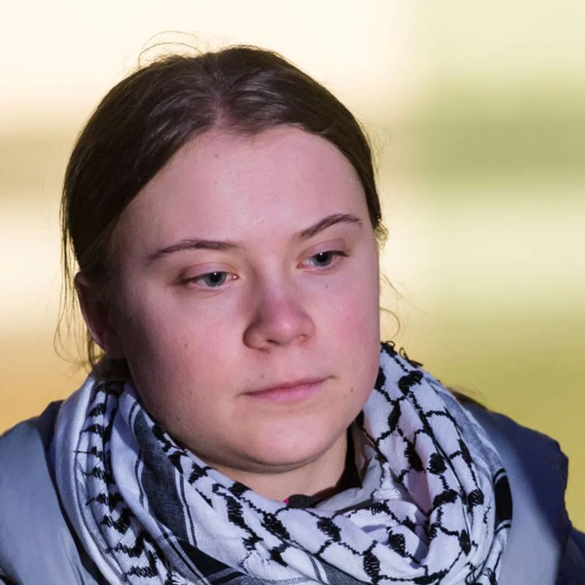 Greta Thunberg diz que eleição de Flávio seria "desastre para o planeta"