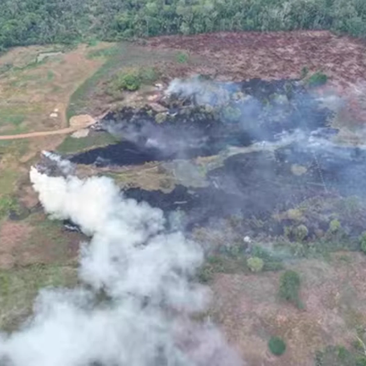 Incêndios no AM: dono de terra é multado em R$ 100 mil por queimar 50 pneus