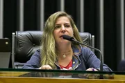 Com 12 senadoras eleitas, Senado terá maior bancada feminina da história