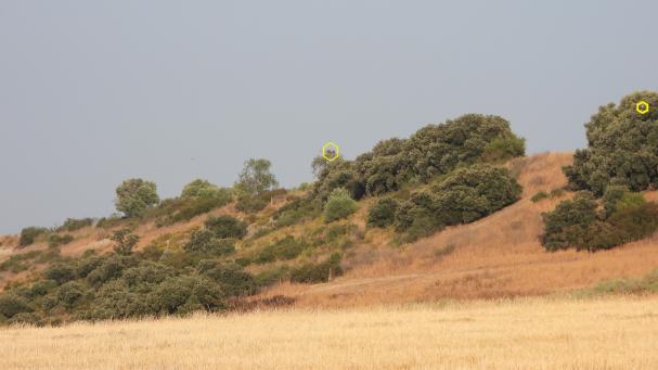 Solución al Reto visual de los buitres.