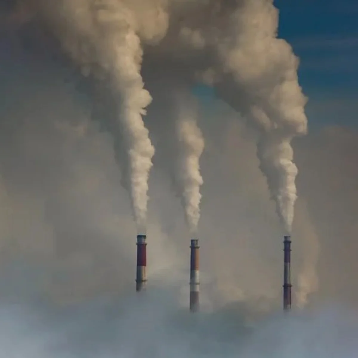 Emissões de gases estufa caem em 2025 e têm menor nível no Brasil em 8 anos